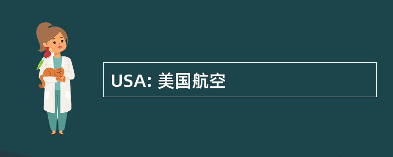 USA: 美国航空