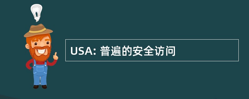 USA: 普遍的安全访问