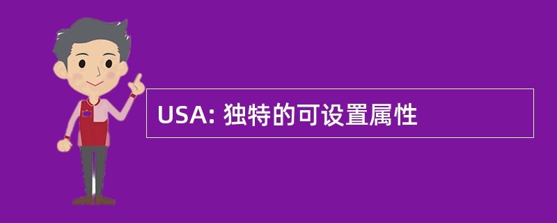 USA: 独特的可设置属性