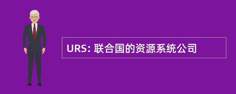 URS: 联合国的资源系统公司