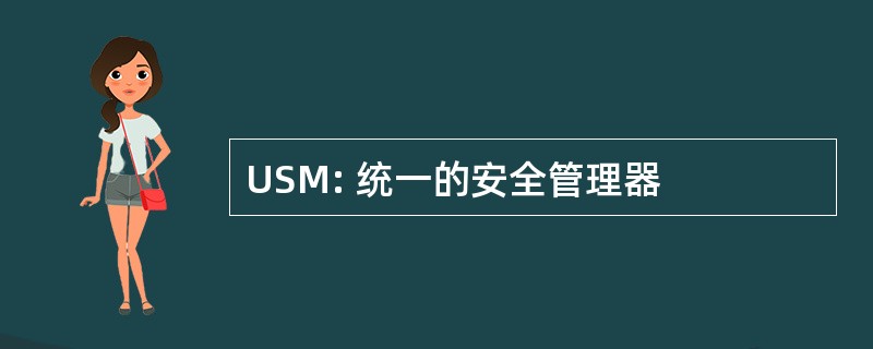 USM: 统一的安全管理器