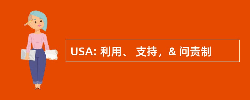 USA: 利用、 支持，& 问责制