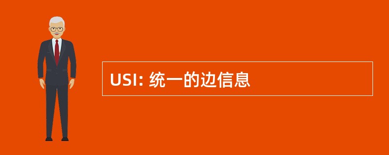 USI: 统一的边信息