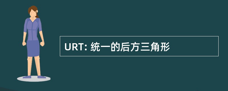 URT: 统一的后方三角形