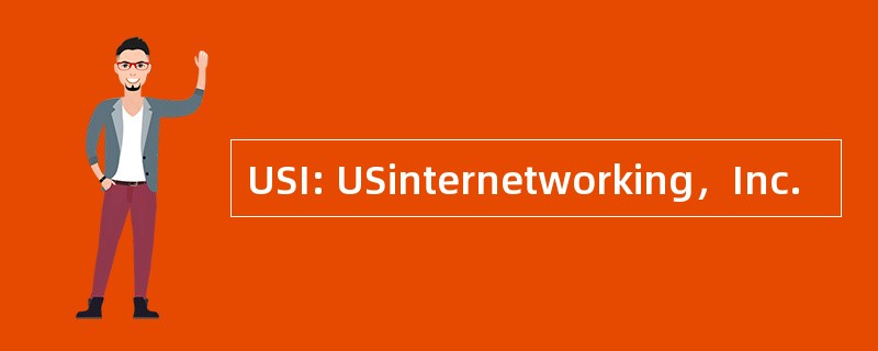 USI: USinternetworking，Inc.