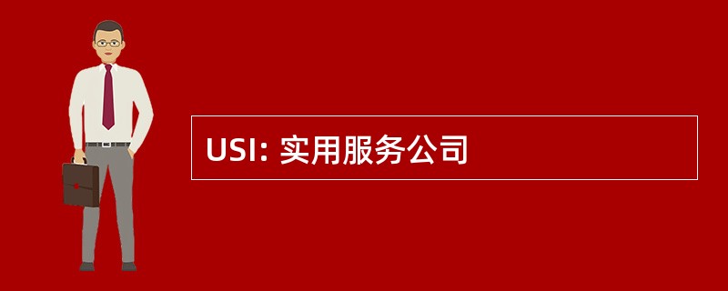 USI: 实用服务公司