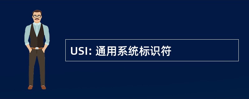 USI: 通用系统标识符