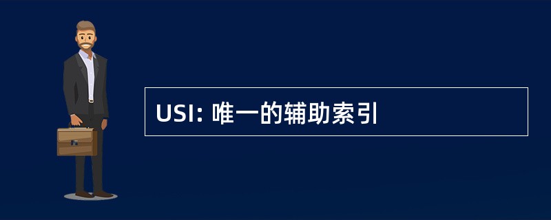 USI: 唯一的辅助索引