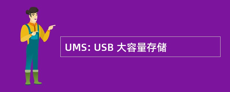 UMS: USB 大容量存储