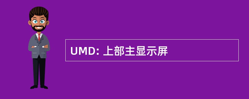 UMD: 上部主显示屏