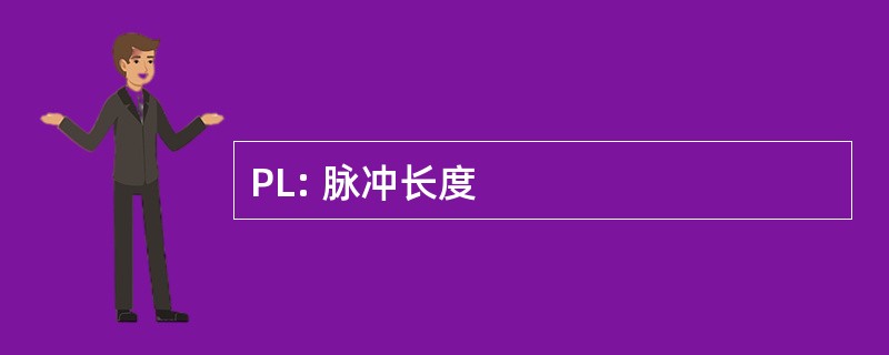 PL: 脉冲长度