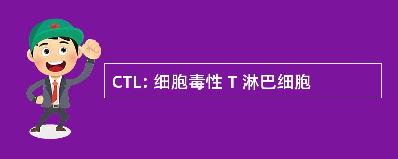 CTL: 细胞毒性 T 淋巴细胞