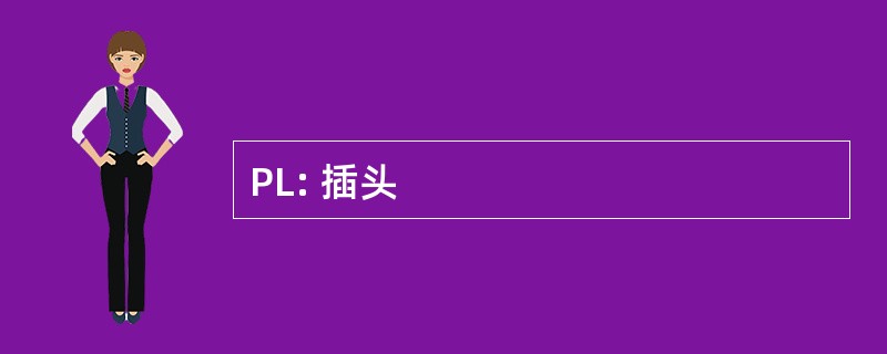 PL: 插头