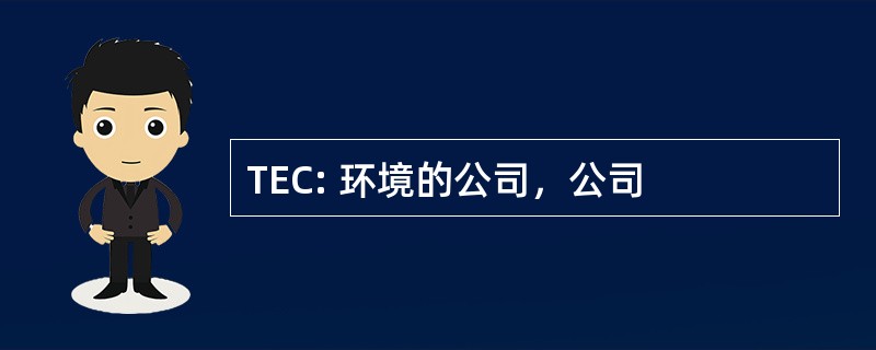 TEC: 环境的公司，公司