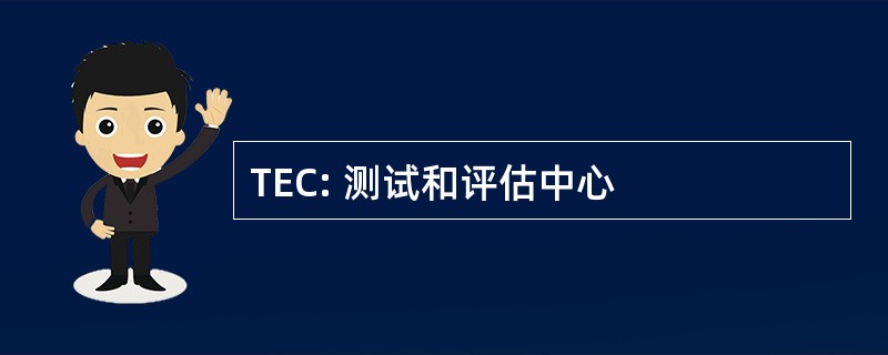 TEC: 测试和评估中心