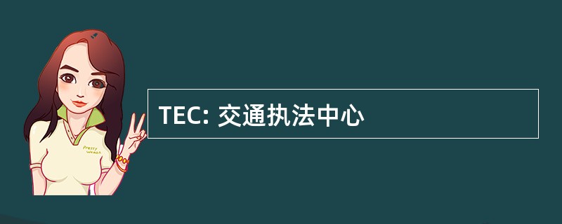 TEC: 交通执法中心