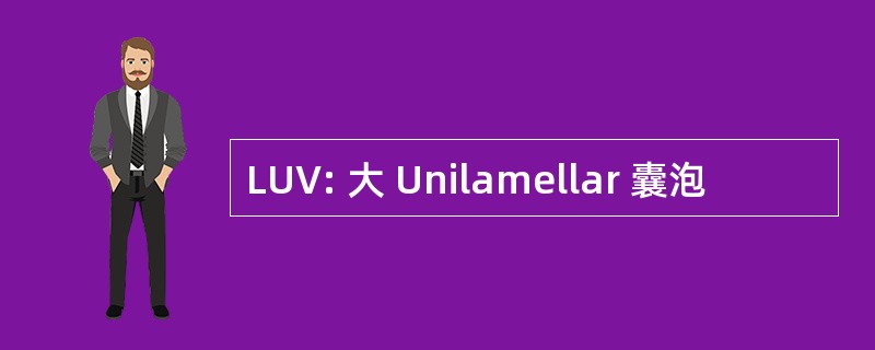 LUV: 大 Unilamellar 囊泡