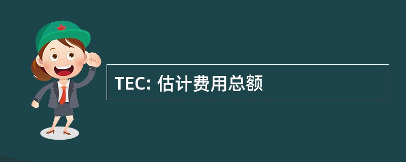 TEC: 估计费用总额