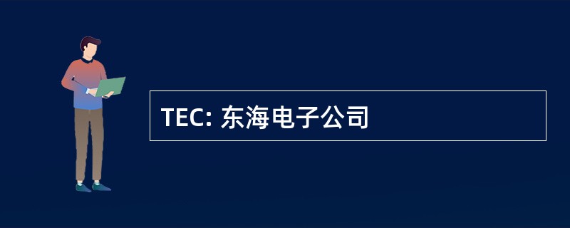 TEC: 东海电子公司