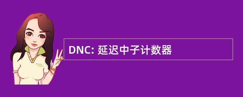 DNC: 延迟中子计数器