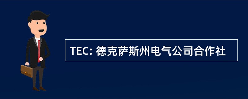 TEC: 德克萨斯州电气公司合作社