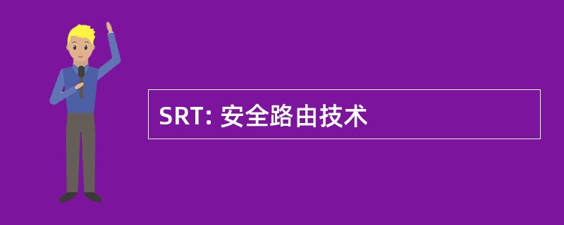 SRT: 安全路由技术