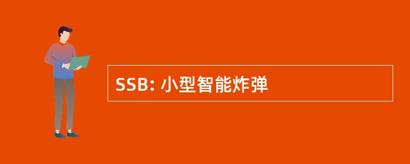 SSB: 小型智能炸弹