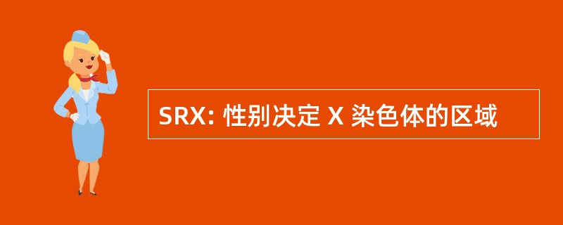 SRX: 性别决定 X 染色体的区域