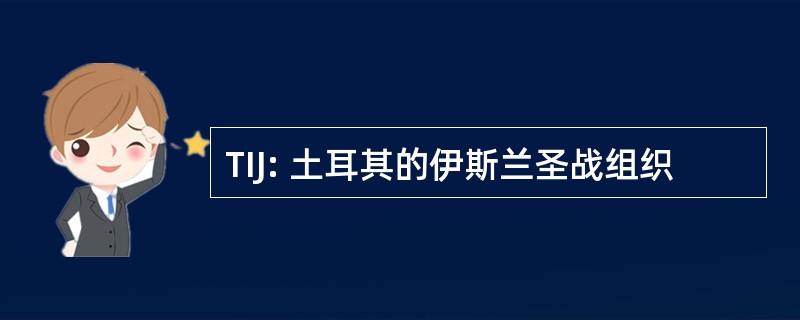 TIJ: 土耳其的伊斯兰圣战组织