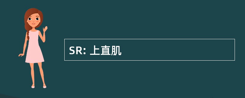 SR: 上直肌