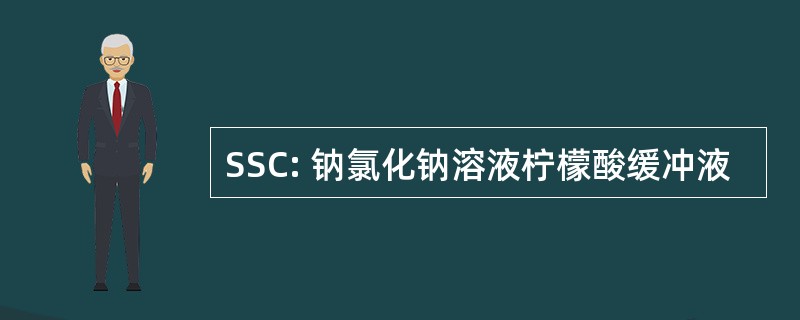 SSC: 钠氯化钠溶液柠檬酸缓冲液