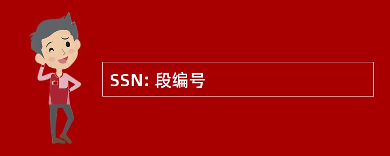 SSN: 段编号