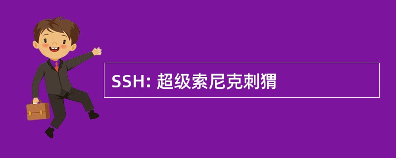 SSH: 超级索尼克刺猬