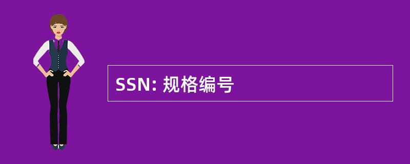 SSN: 规格编号