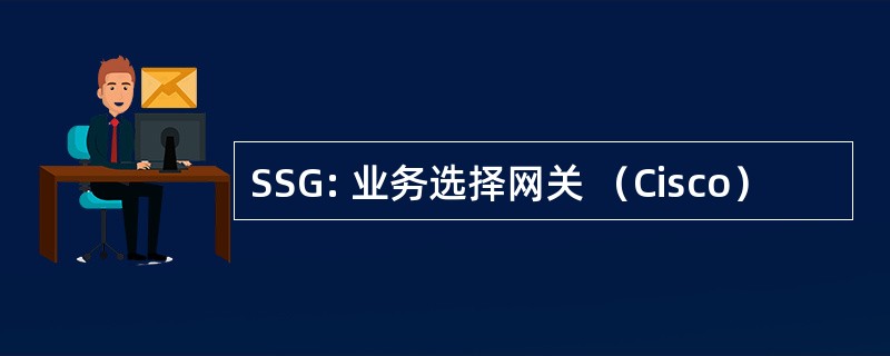 SSG: 业务选择网关 （Cisco）