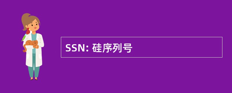 SSN: 硅序列号