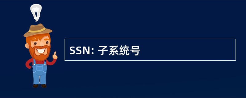 SSN: 子系统号