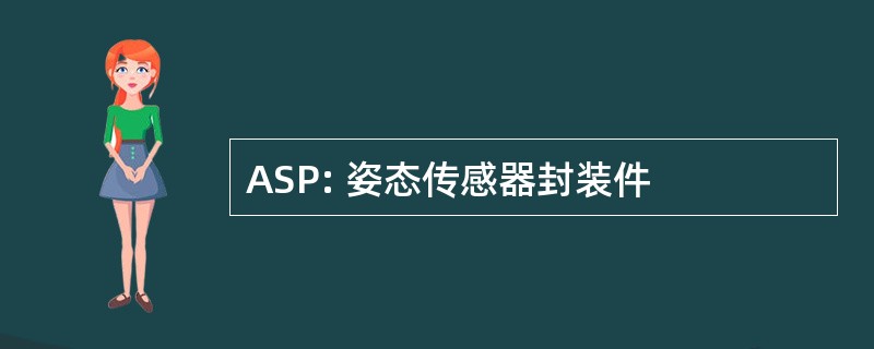 ASP: 姿态传感器封装件