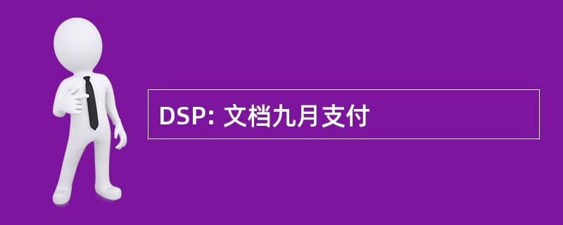 DSP: 文档九月支付