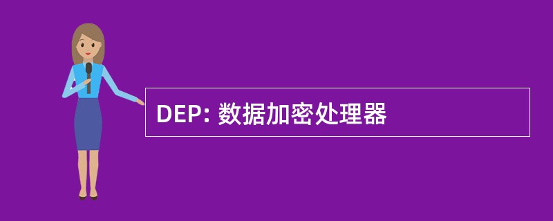 DEP: 数据加密处理器