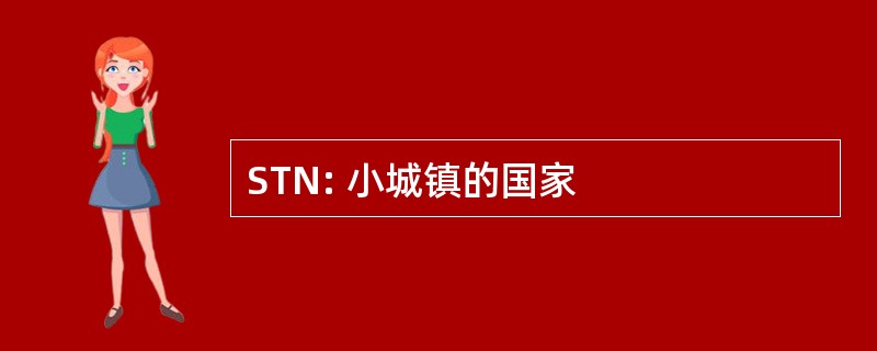 STN: 小城镇的国家