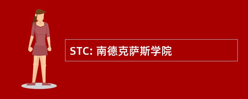 STC: 南德克萨斯学院