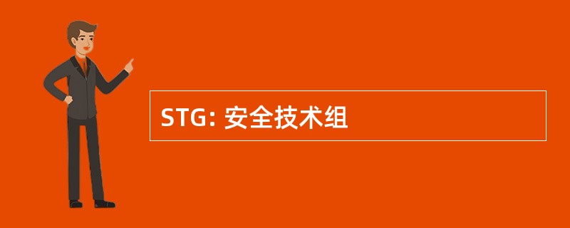 STG: 安全技术组