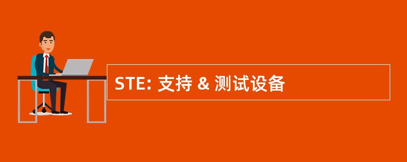 STE: 支持 & 测试设备