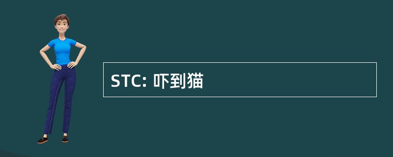 STC: 吓到猫