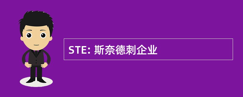 STE: 斯奈德刺企业