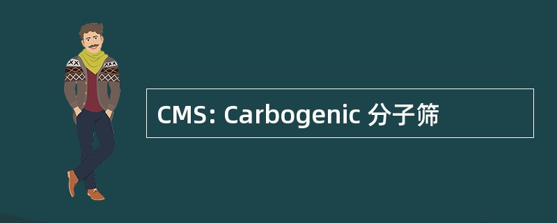 CMS: Carbogenic 分子筛