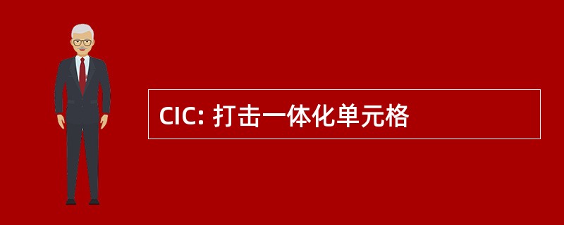 CIC: 打击一体化单元格