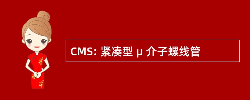 CMS: 紧凑型 μ 介子螺线管