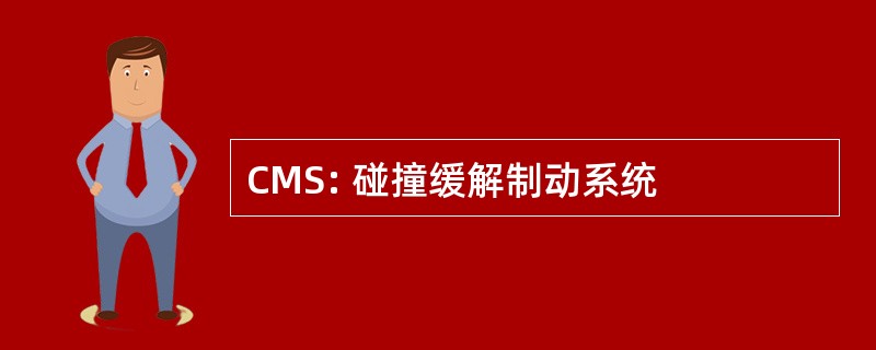 CMS: 碰撞缓解制动系统